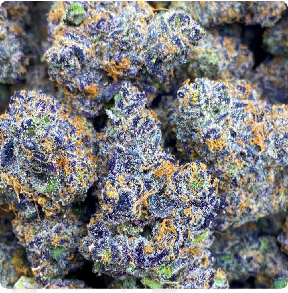 PURPLE PASSION R 39%